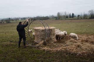 FEVE : Donnez vie à des fermes agroécologiques