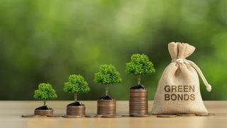 Que sont les Green Bonds et comment fonctionnent-ils ?